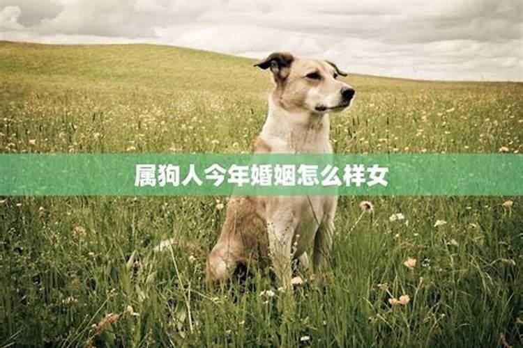 2025年1981年生肖鸡女运势