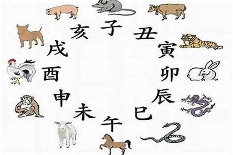 属牛和属兔婚姻相配吗 属牛和兔合不合适婚姻