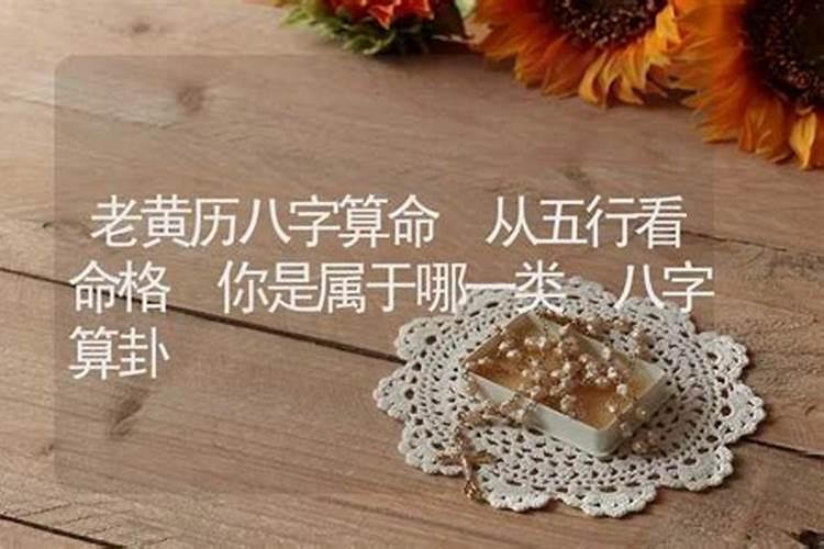 属蛇人2024年运势上半年好还是下半年好