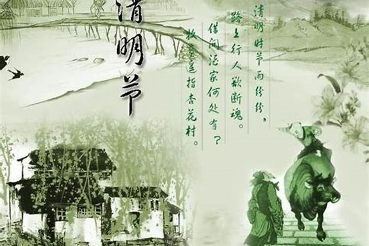 入地合成三合土是什么生肖
