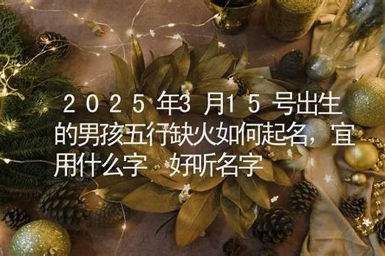 鸟飞进店里意味着什么