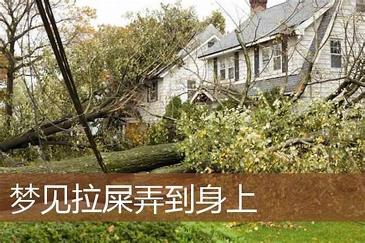 梦见坟墓什么预兆周公解梦
