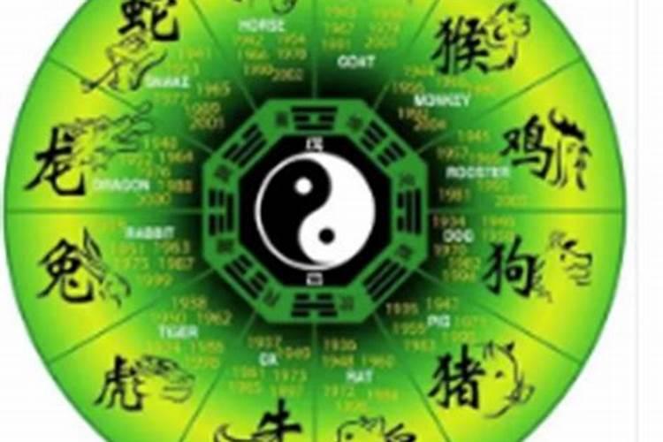 属狗人2025年全年运势运程免费 属狗2025年每月运势及运程详解