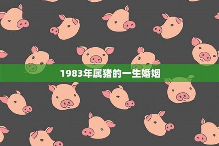 2025属猪犯太岁怎么化解吉凶