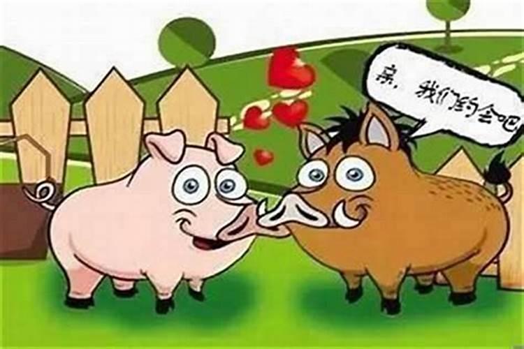 猪和鼠相配婚姻 在一起能幸福吗