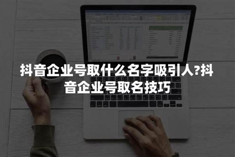 企业服务公司取什么名字