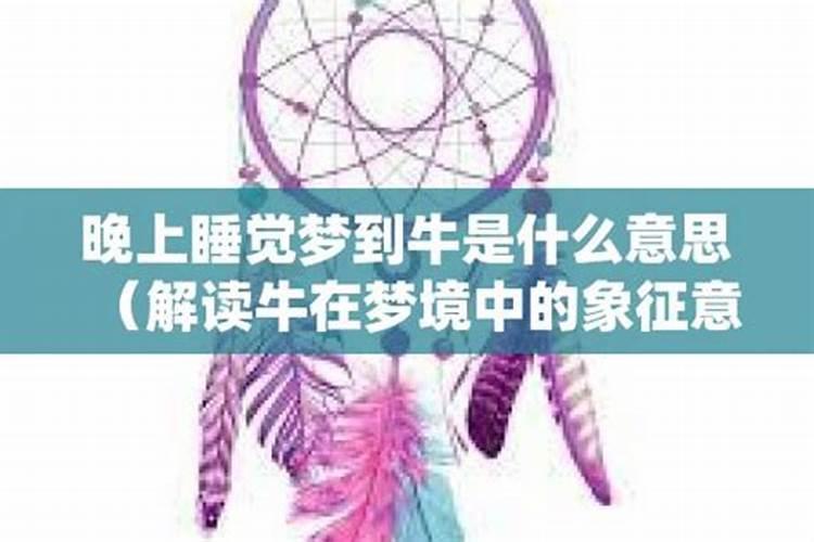 单位工会春节活动方案