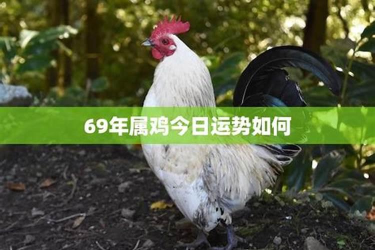 1997年1月出生的鼠好吗,1997年属鼠人运势如何