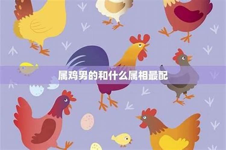 女鸡和男狗的属相能婚配吗