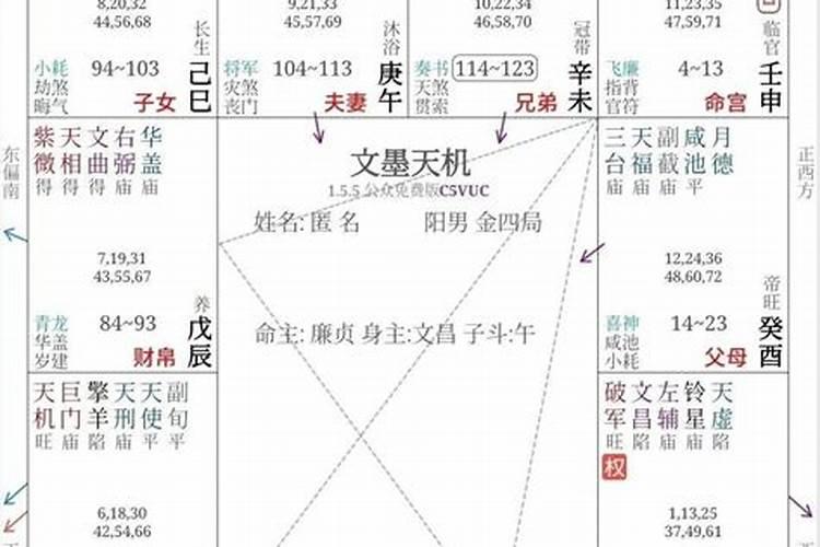 廉贞庙,天钺,阴煞,天巫,月德,天福在子女什么意思