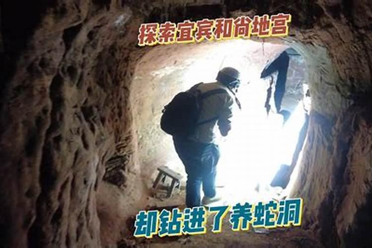 54年属马是什么命 ？