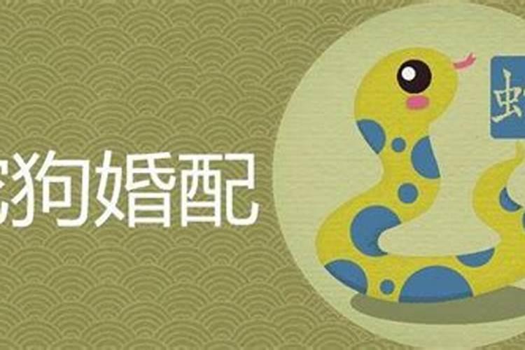 男属蛇1977属年4月14日女狗1970年3月8八字合不合
