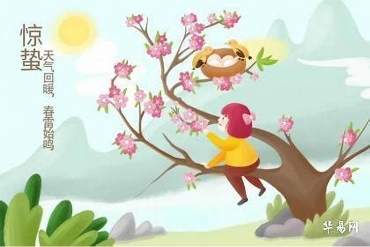 属马的今年运势怎么样啊？