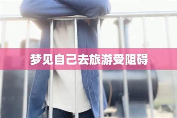 属狗2025年运势如何
