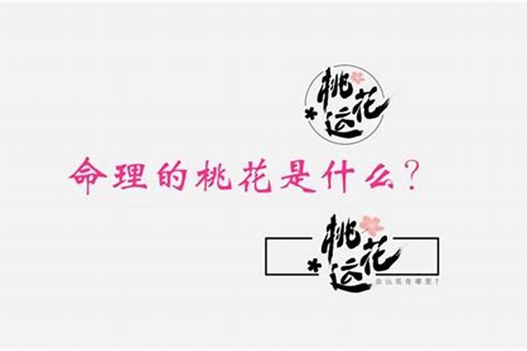 2025狗生肖的全年运势如何