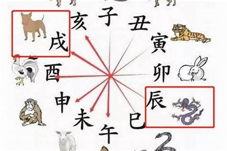 1975属兔人2025年全年运势及运程