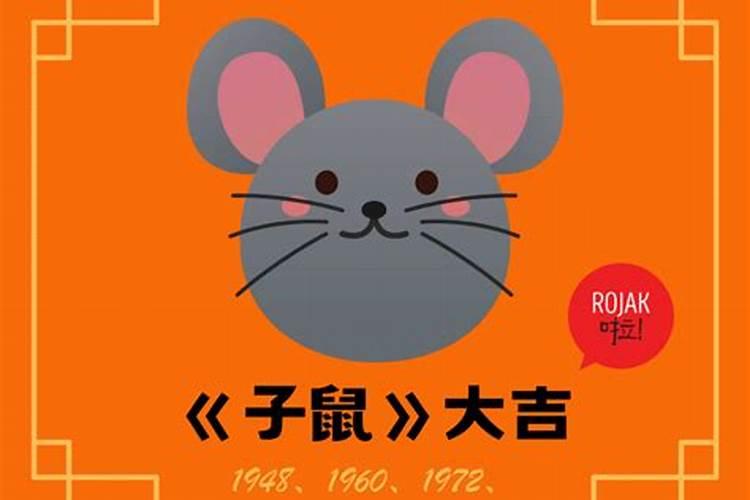 梦见老鼠的各种寓意
