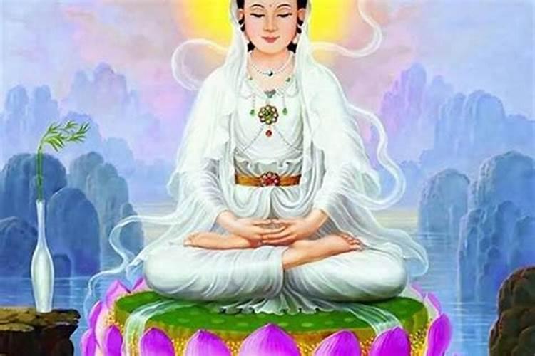 家里旺孩子事业摆什么好 首选文竹？