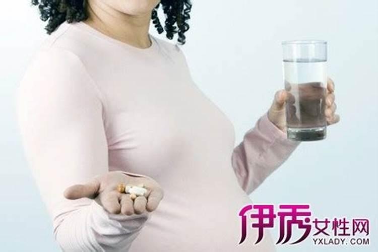 梦见狗亲我是什么意思？