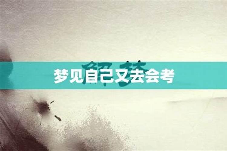 河南卫视春晚2024年节目单+播出时间+嘉宾阵容