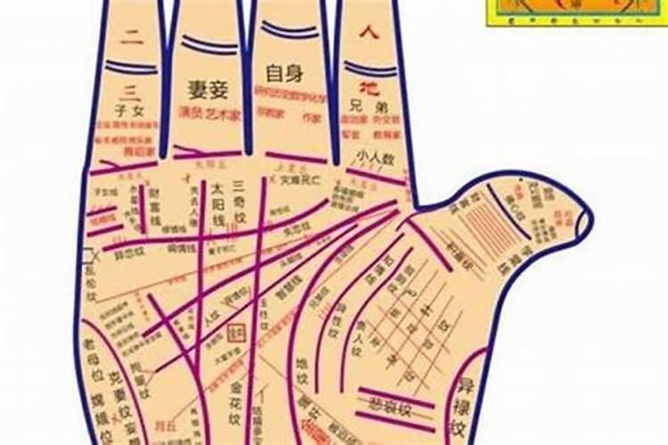 算命生辰八字和看手相真的准吗？