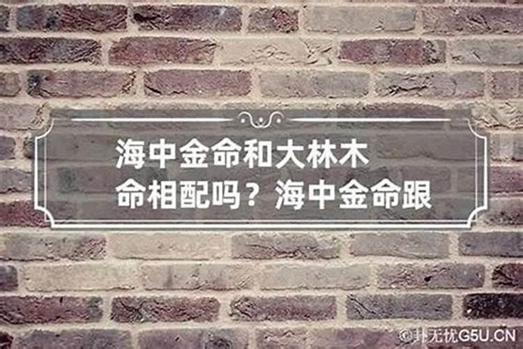 合姻缘:海中金和大林木婚配怎么样 八字五行论婚姻