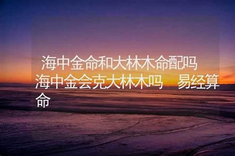 男金海底命,女大林木命从五行讲般配吗(不懂的别答啊,想听听这放面说法...