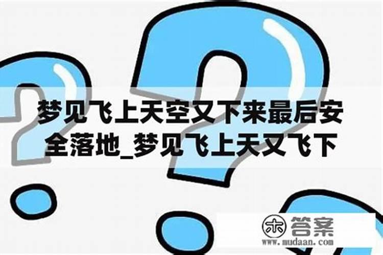 做梦梦见马飞