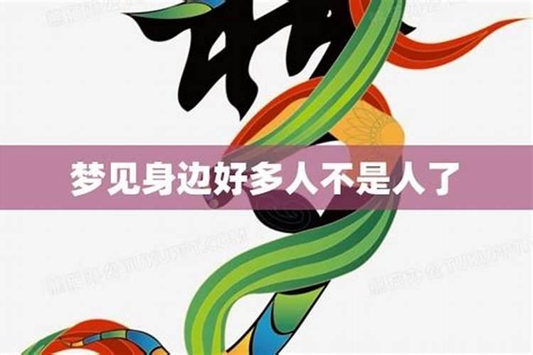 67年羊男70年狗女婚配,67年男羊与70年狗女能白头偕老吗