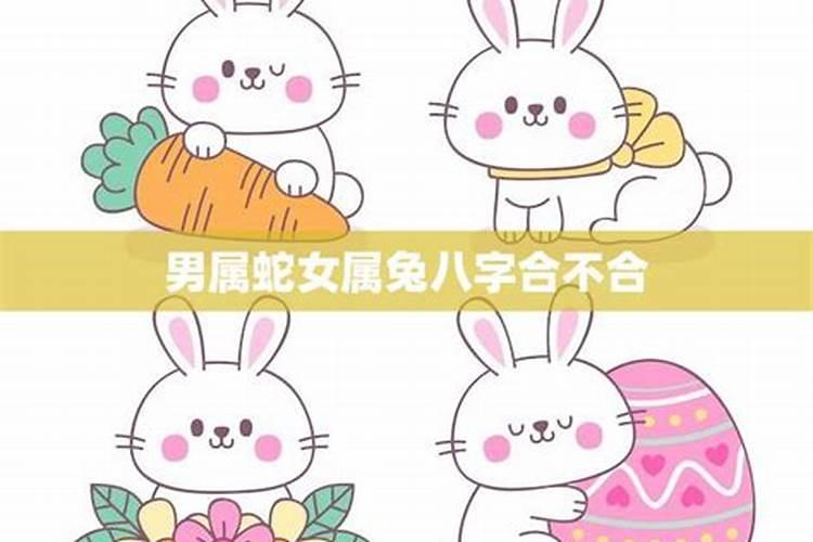 梦见牙全掉了是怎么回事周公解梦
