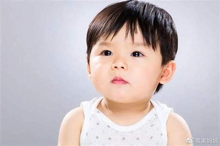 属马的2022运势如何,属马的人2021年运势及每月运程怎么样化解？