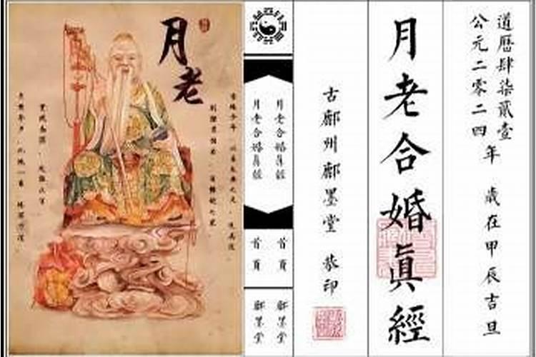 生肖猪2025年运势 属猪2025年运势及运程