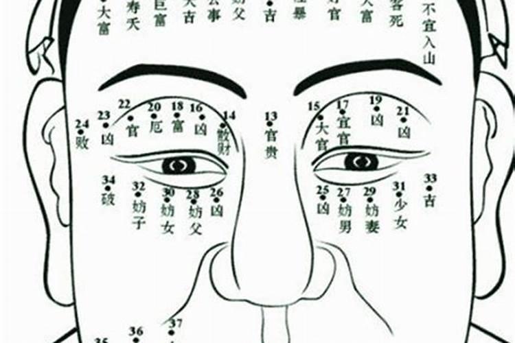 梅花易数万物类象口诀