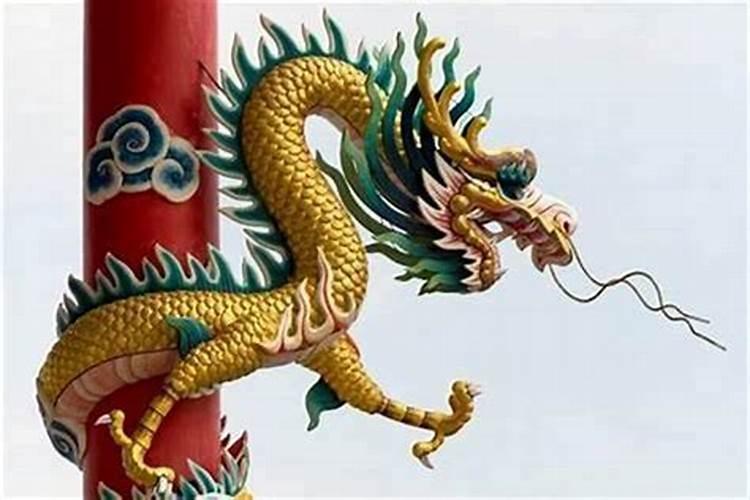 谁知道龙的资料