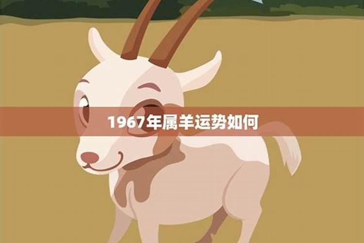史字辈排行