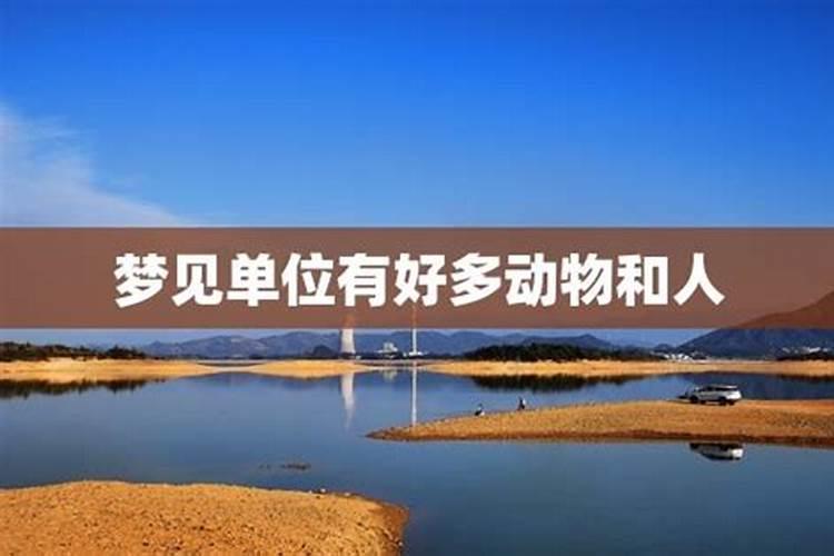 梦见好多同事什么意思？