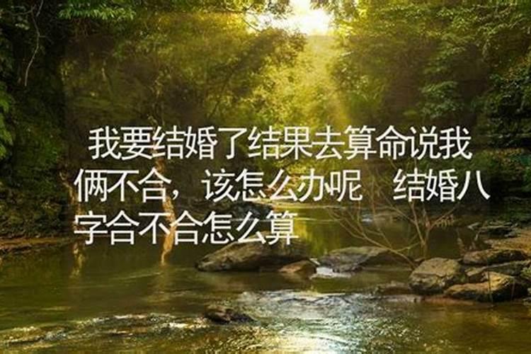 2025年属蛇本命年犯太岁吗