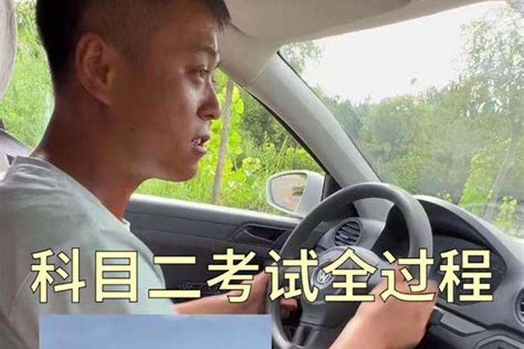 梦见马从天上下来找我