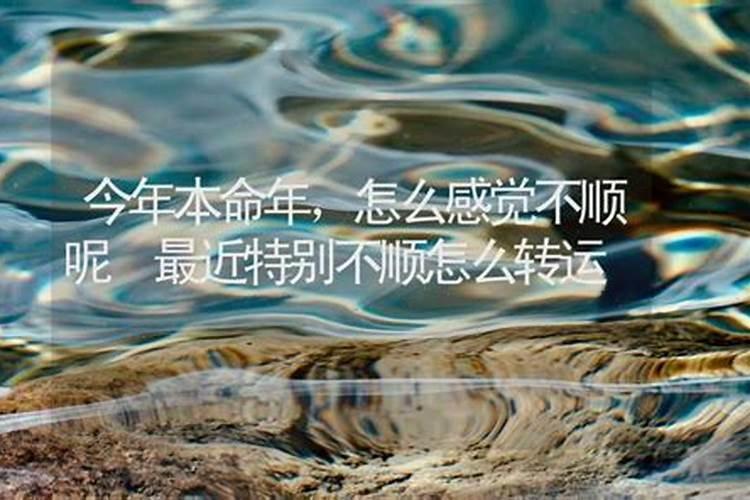 梦见水渠里水不多很浑浊的预兆