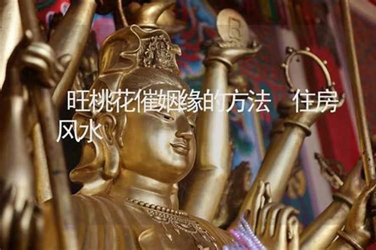 做梦梦到女人主动投怀送抱