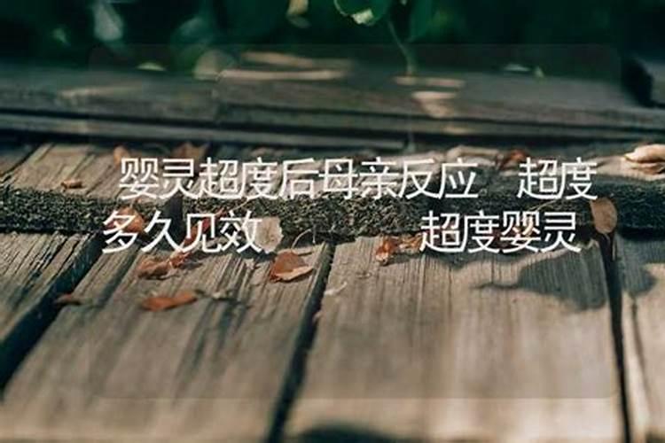 农历11月出生属猴人命好吗