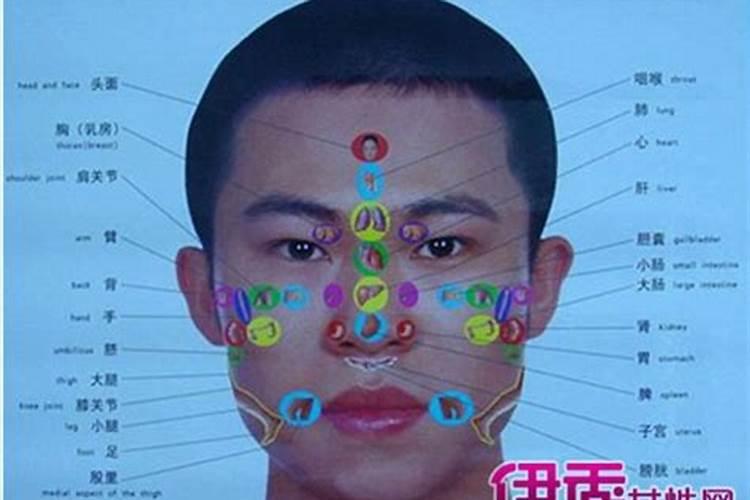 额头高的人面相好不好命运额头高的人面相怎么样