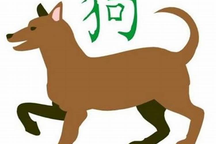 属狗女和属狗男相配吗(八字很合)