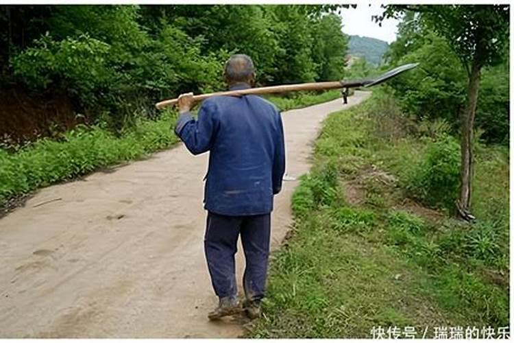 夏至节气的特点和风俗 夏至的俗语有哪些