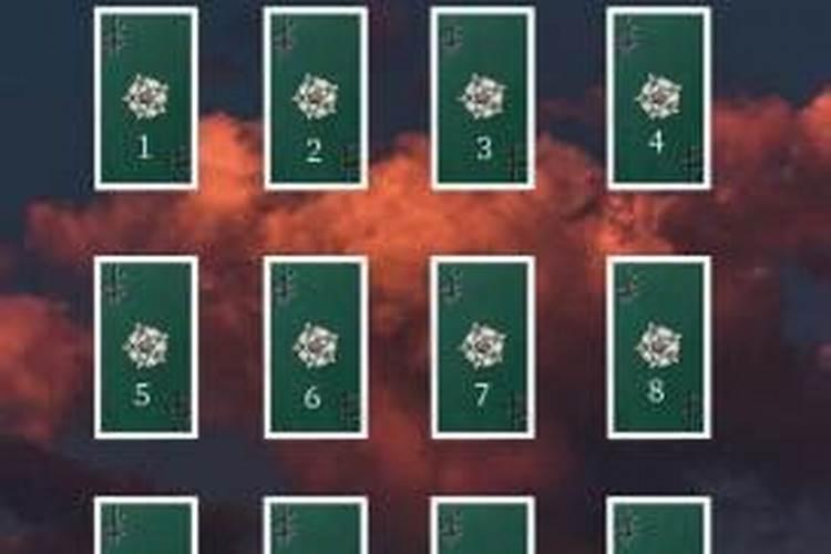 腾冲哈歌茶庄园太岁茶什么价钱？