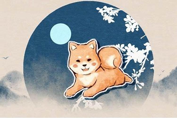 82年属狗人2025运势运程