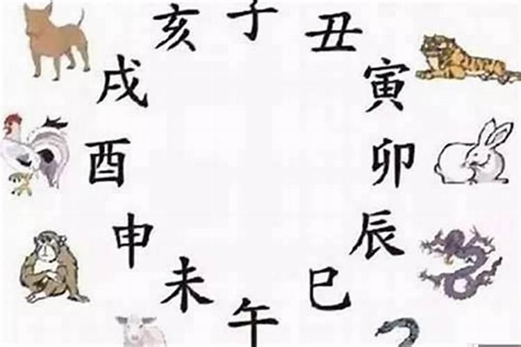 2020年什么属相犯太岁？