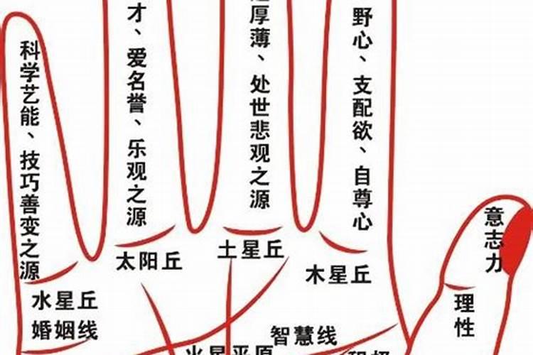 什么物件遇贵人聚财运最好(增加贵人运的摆件)