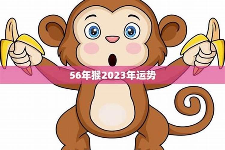 1956年出生属猴人2023年运势及运程