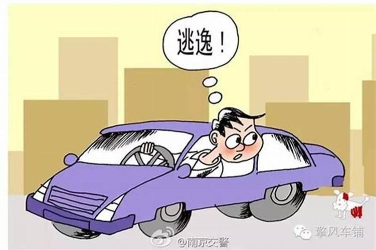 2024年十二月六号属马人运势